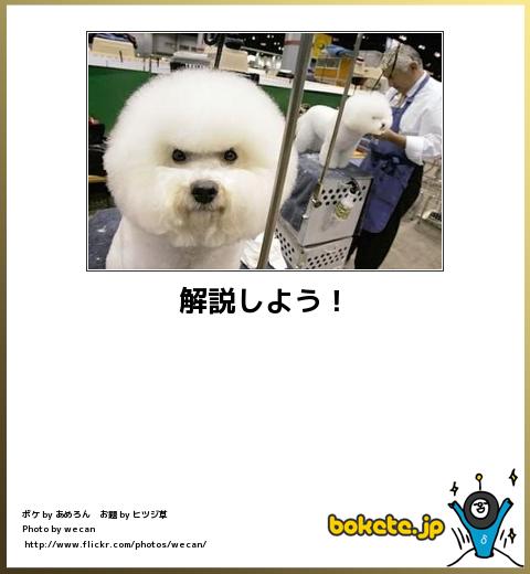 説明｜宮崎風俗高収入求人情報