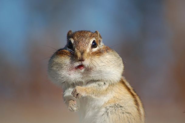 にやける｜宮崎風俗高収入求人情報