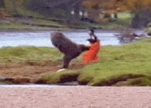 戦う|宮崎風俗高収入求人情報