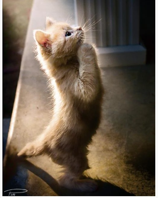 お願い|宮崎風俗高収入女性求人情報