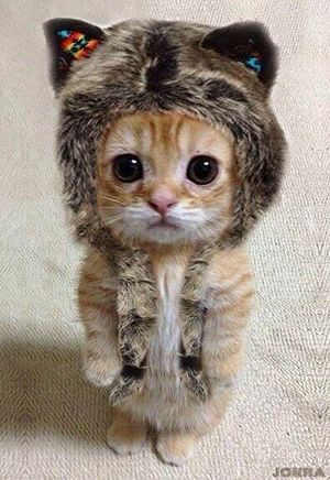 知ってた？｜宮崎風俗アルバイト求人